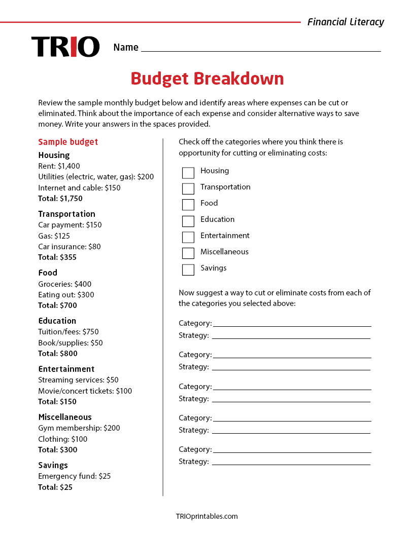 Budget Breakdown Activity Sheet