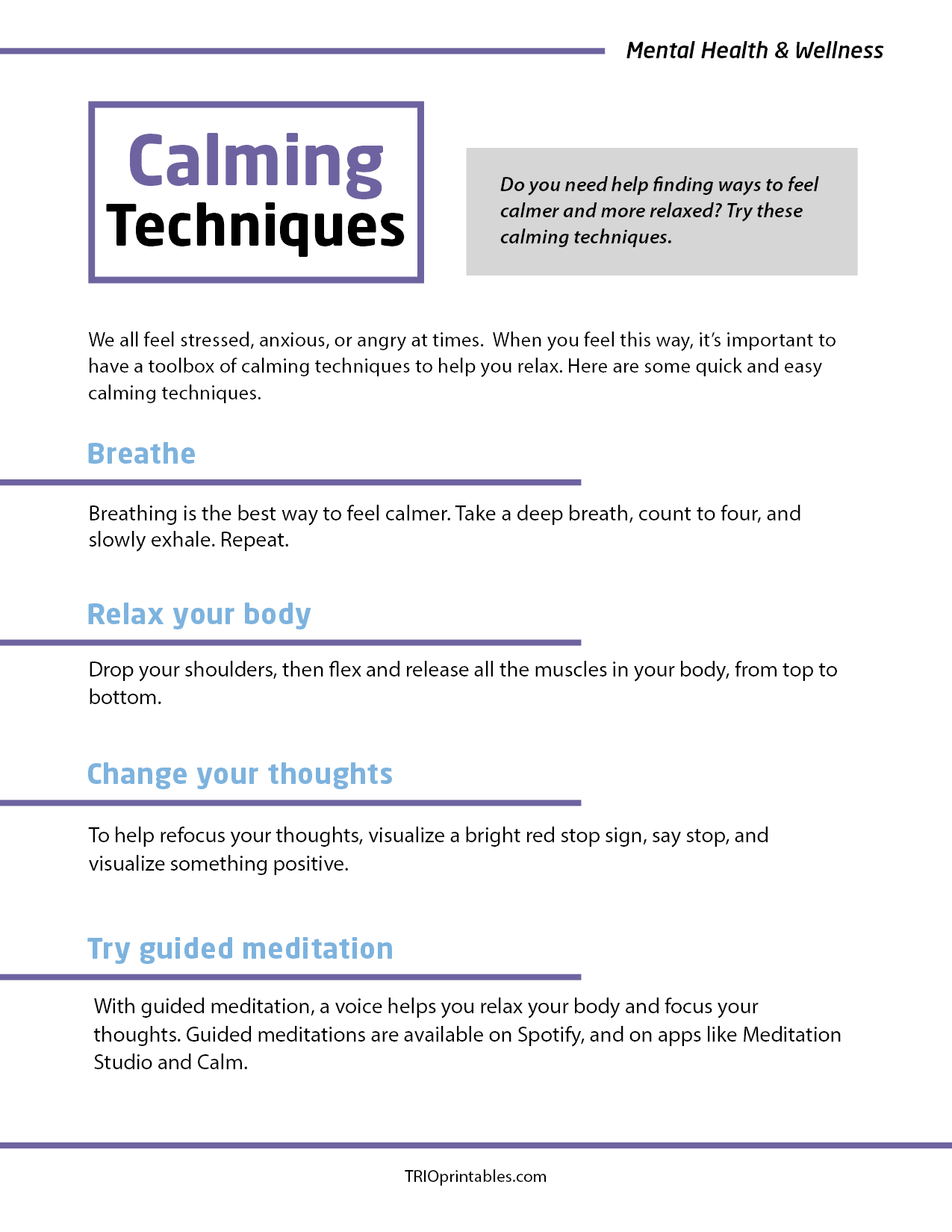 Calming Techniques Informational Sheet