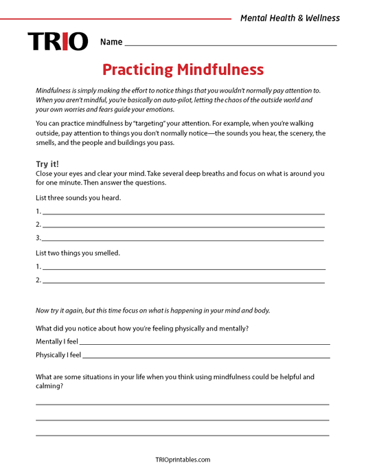 Practicing Mindfulness Activity Sheet