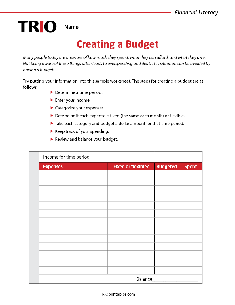 Creating a Budget Activity Sheet
