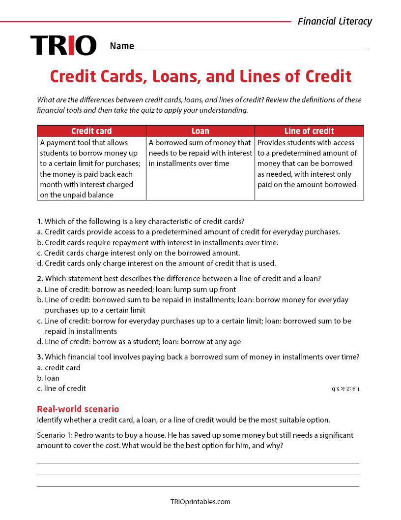 Credit Cards, Loans, and Lines of Credit Activity Sheet