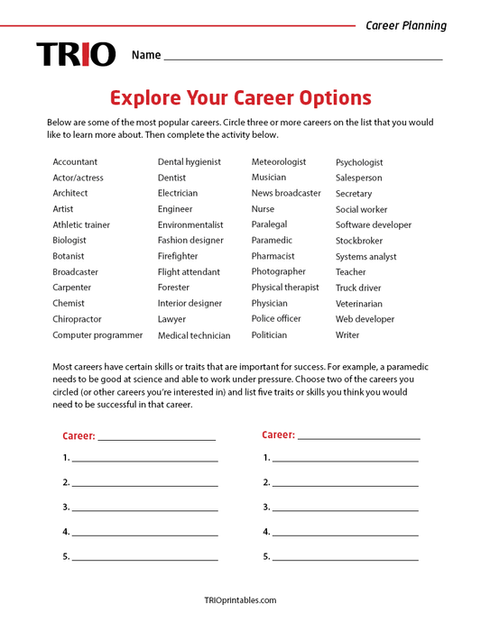 Explore Your Career Options Activity Sheet