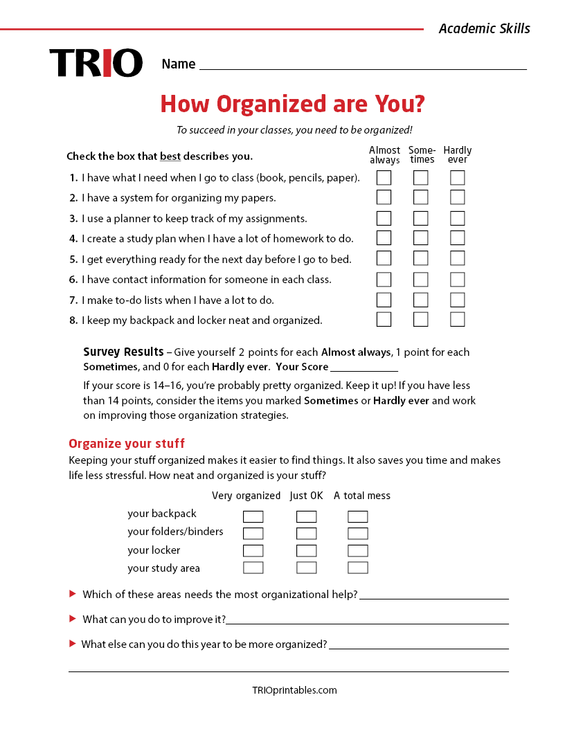 How Organized are You? Activity Sheet