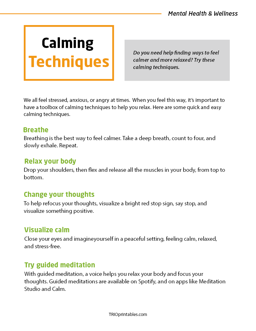 Calming Techniques Informational Sheet