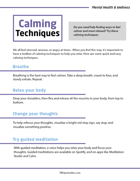 Calming Techniques Informational Sheet