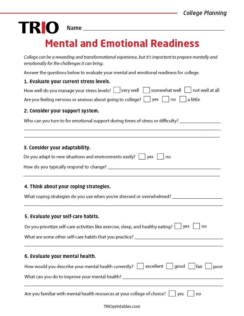 Mental and Emotional Readiness Activity Sheet