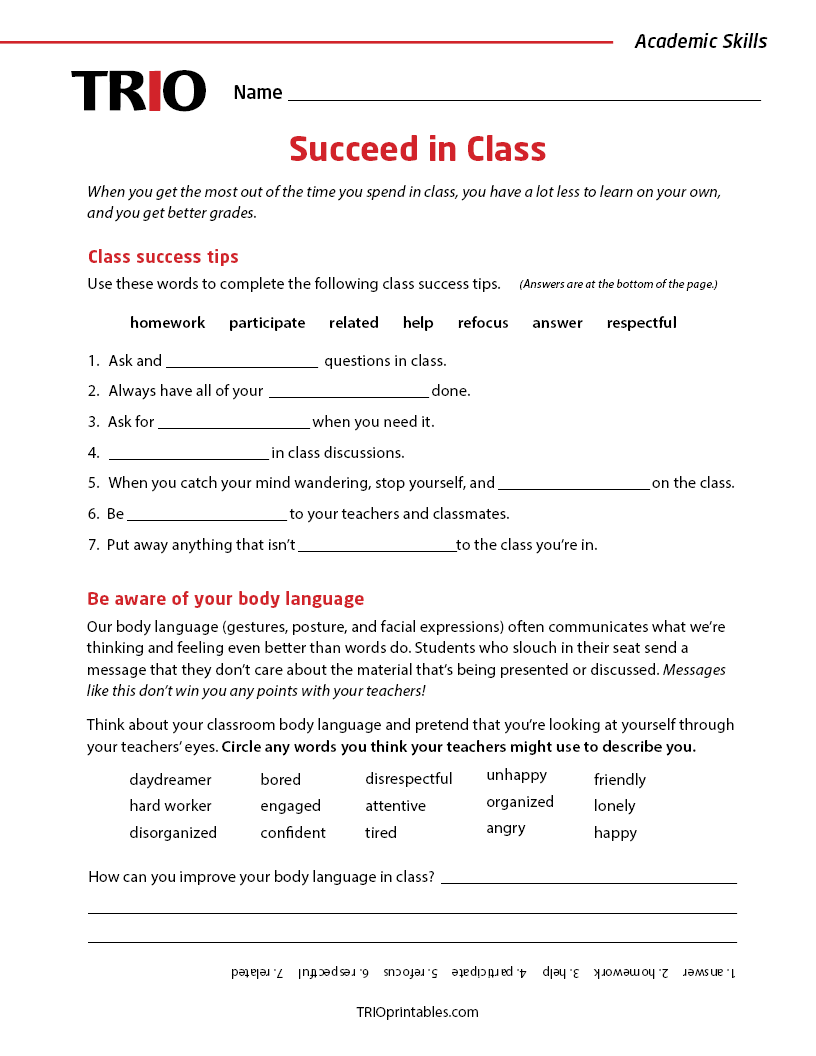 Succeed in Class Activity Sheet