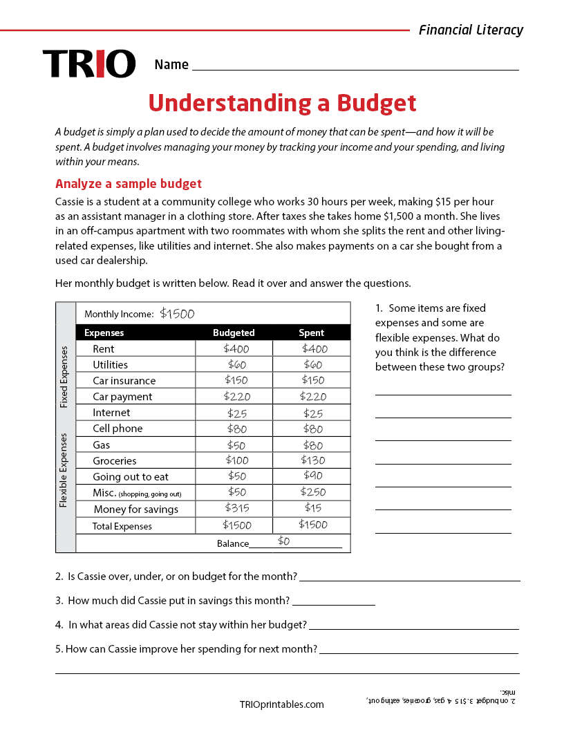 Understanding a Budget Activity Sheet