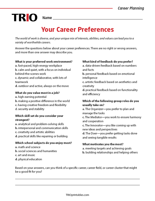 Your Career Preferences Activity Sheet
